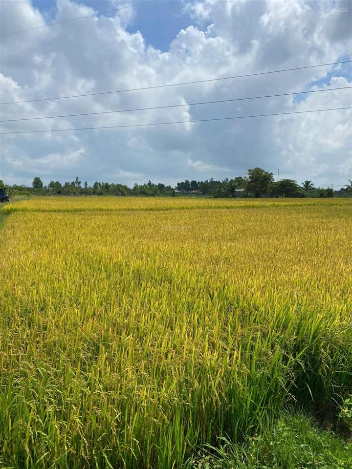 Bán căn nhà vườn tân bình ninh bình sắp lên phường tân định