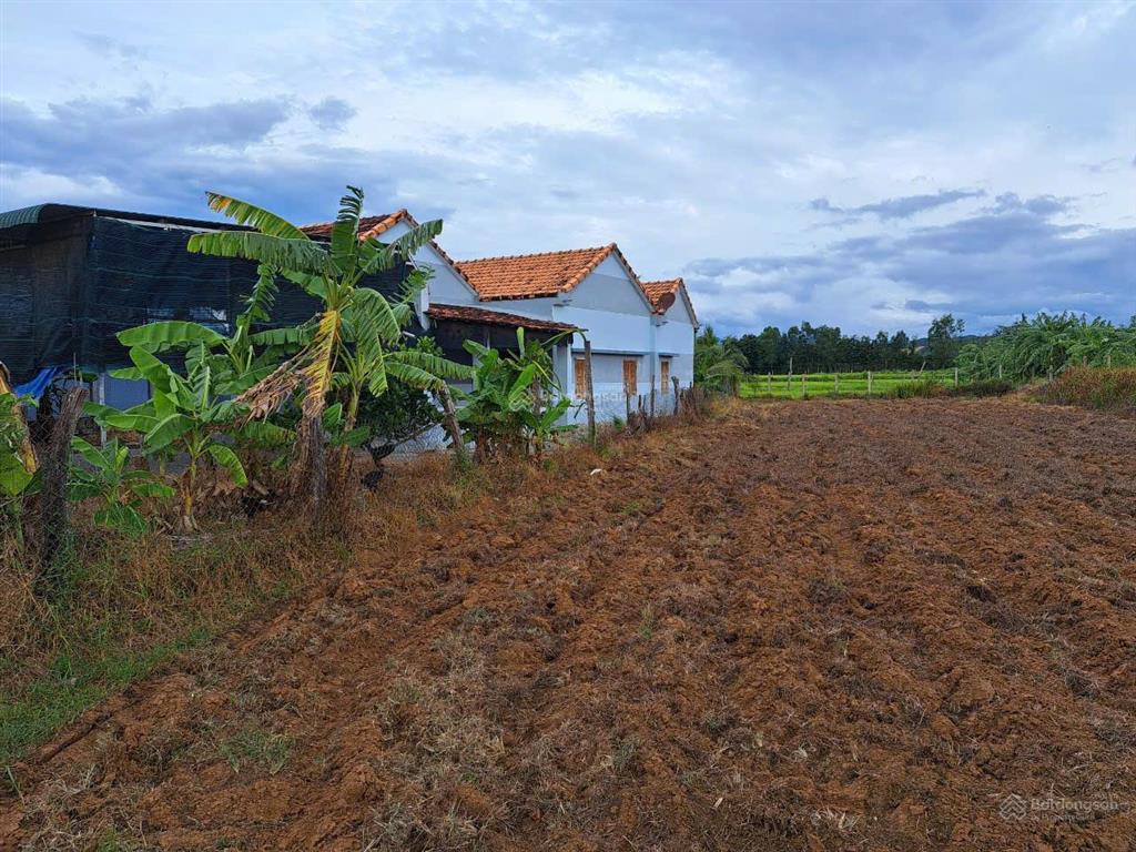 Bán căn nhà vườn tân bình ninh bình sắp lên phường tân định