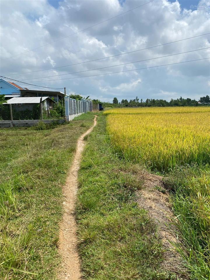 Bán căn nhà vườn tân bình ninh bình sắp lên phường tân định
