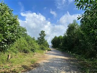 Cần bán gấp 3.500m2 mặt tiền 36m có thể chia 3 lô