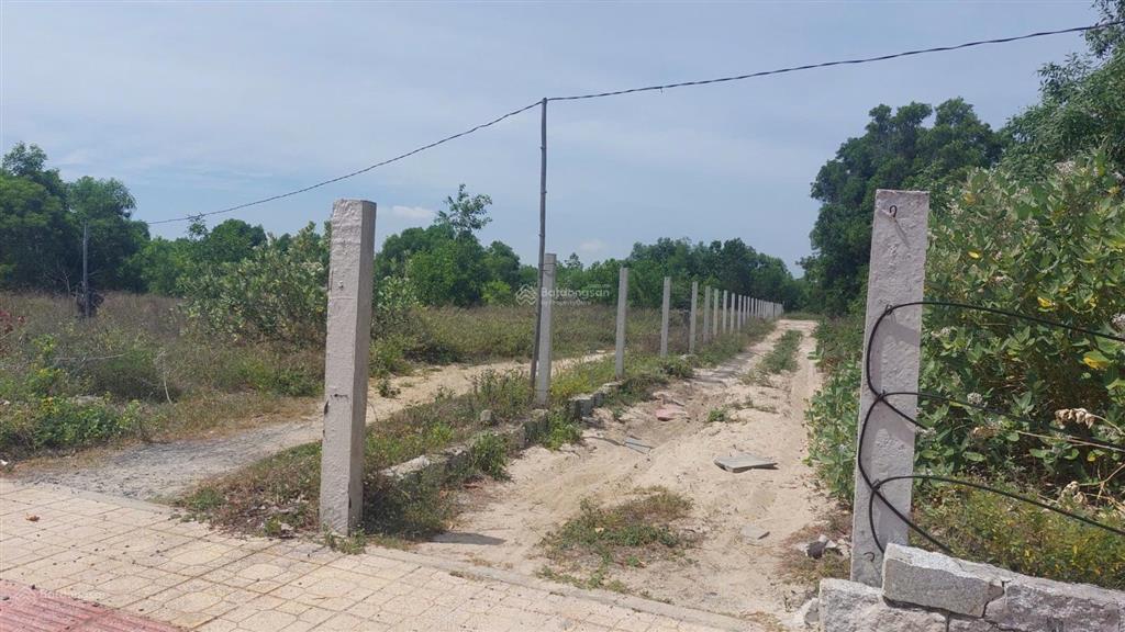 Cần bán 9000m2 cây lâu năm mặt tiền n5a cam hải đông cam lâm giá 3tr/m2