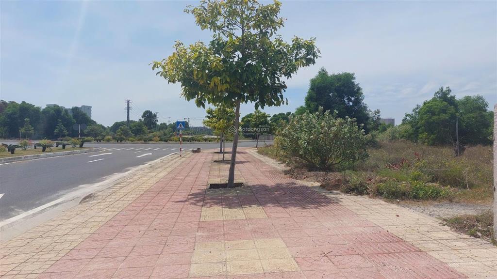 Cần bán 9000m2 cây lâu năm mặt tiền n5a cam hải đông cam lâm giá 3tr/m2