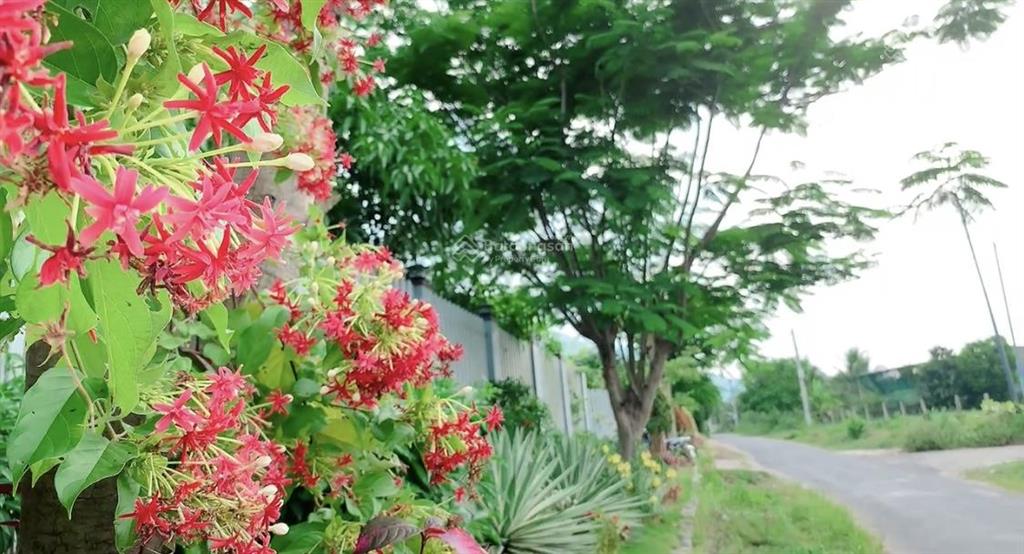Bán lô đất suối tiên cực đẹp 540m2 full thổ cư ngay ngã 3 đường nhựa lớn 8m. giá cực tốt