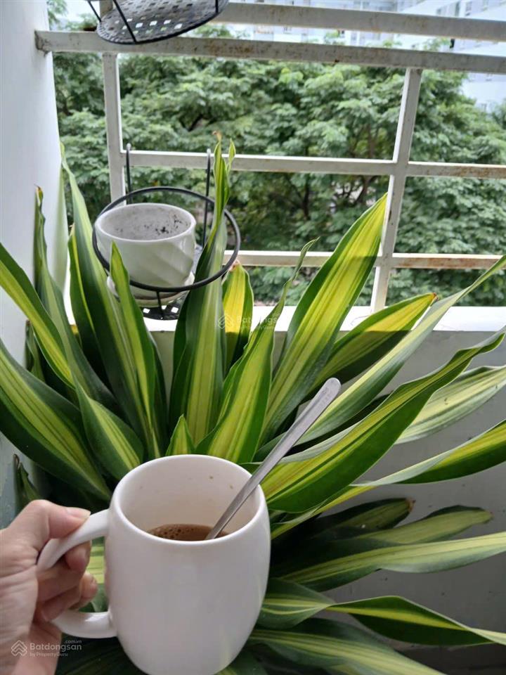 Đất ở thuộc thôn 2 khu bàn cờ, xung quanh dân cư sinh sống an ninh ổn định