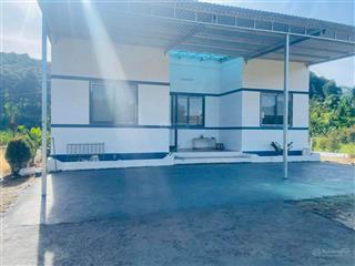 Bán nhà vườn xóm cỏ, xã sơn bình, huyện khánh sơn, giá chỉ 1,5 tỷ sở hữu gần 3 sào
