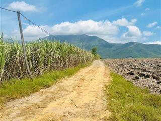 Bán đất ninh thượng, ninh hoà, khánh hoà, dt 2100m2, mt 25 m, nở hậu