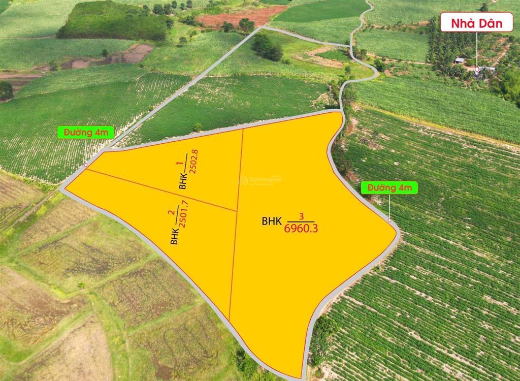 Chỉ 1.4 tỷ sở hữu lô đất 1100m2, 4 mặt tiền tại ninh tây, ninh hòa, phù hợp phân lô, làm vườn