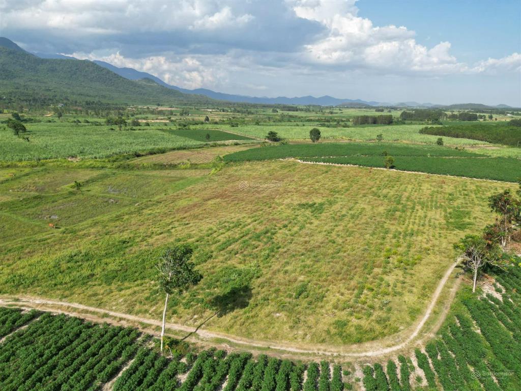 Chỉ 1.4 tỷ sở hữu lô đất 1100m2, 4 mặt tiền tại ninh tây, ninh hòa, phù hợp phân lô, làm vườn
