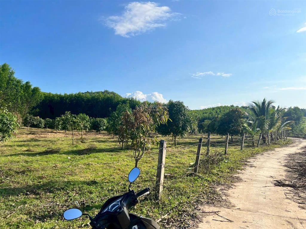 Bán đất vườn xã diên đồng, khánh hòa. dt 3050m2, cây hằng năm, ô tô vào tận đất, 2 mặt tiền