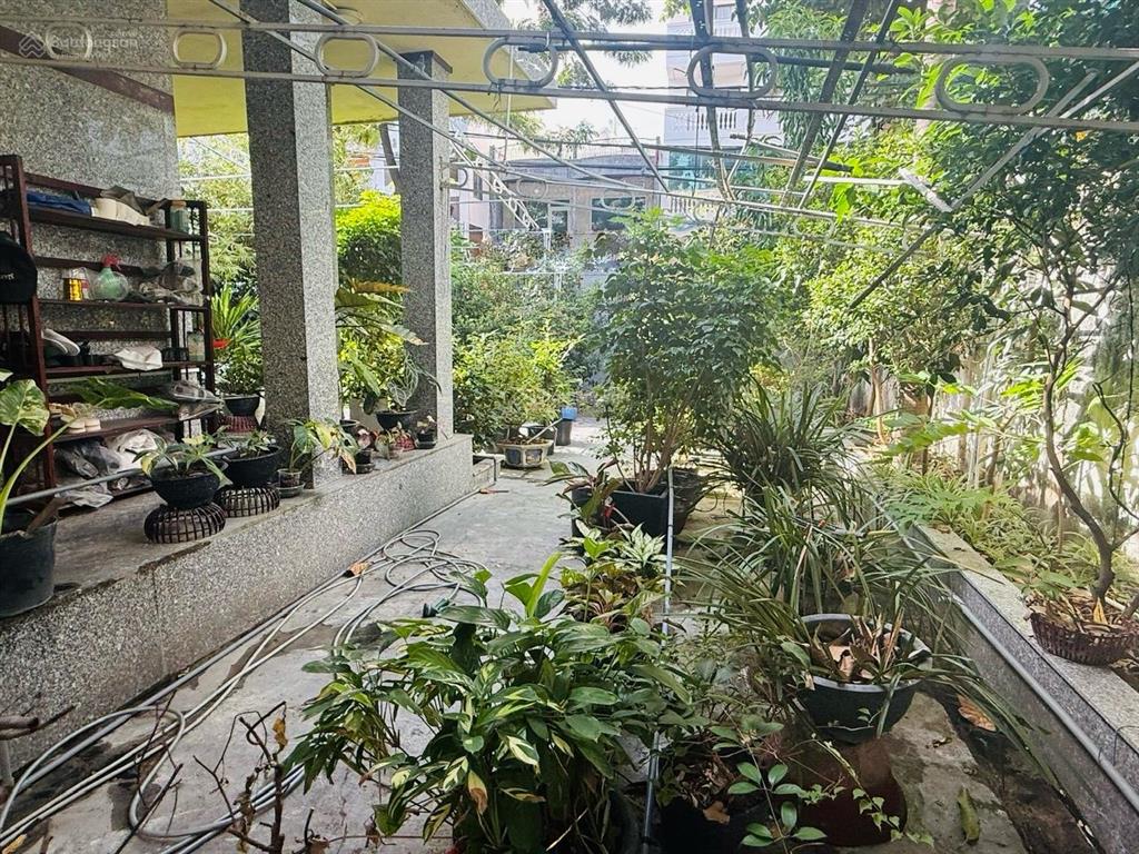 Cho thuê mặt bằng nguyên căn khu phố hàn kinh doanh, mặt tiền đường trịnh phong
