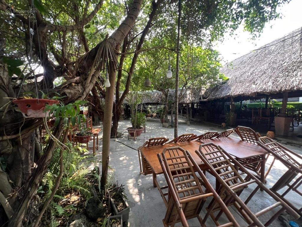 Cho thuê mặt bằng rộng 2700m2 đường cầu dứa phú nông gần vĩnh điềm trung chỉ 80tr/tháng