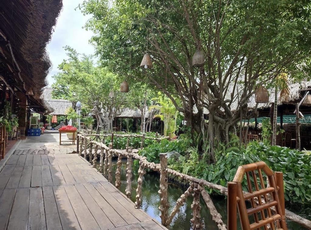 Cho thuê mặt bằng rộng 2700m2 đường cầu dứa phú nông gần vĩnh điềm trung chỉ 80tr/tháng