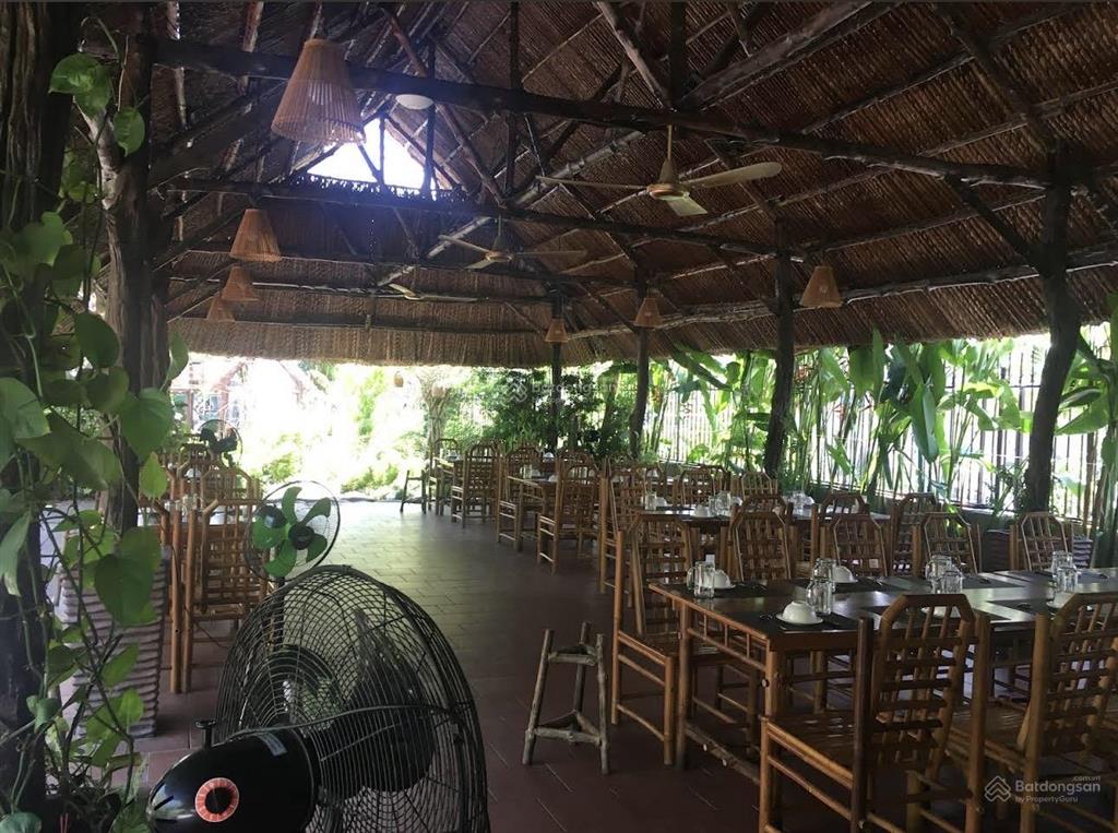 Cho thuê mặt bằng rộng 2700m2 đường cầu dứa phú nông gần vĩnh điềm trung chỉ 80tr/tháng