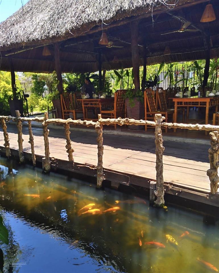 Cho thuê mặt bằng rộng 2700m2 đường cầu dứa phú nông gần vĩnh điềm trung chỉ 80tr/tháng