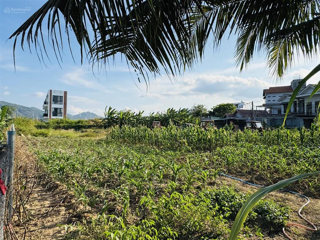 Bán lô đất thổ cư 1238m2 giáp khu đô thị phú ân nam 2, diên khánh, đơn giá chỉ có 14 triệu/m2