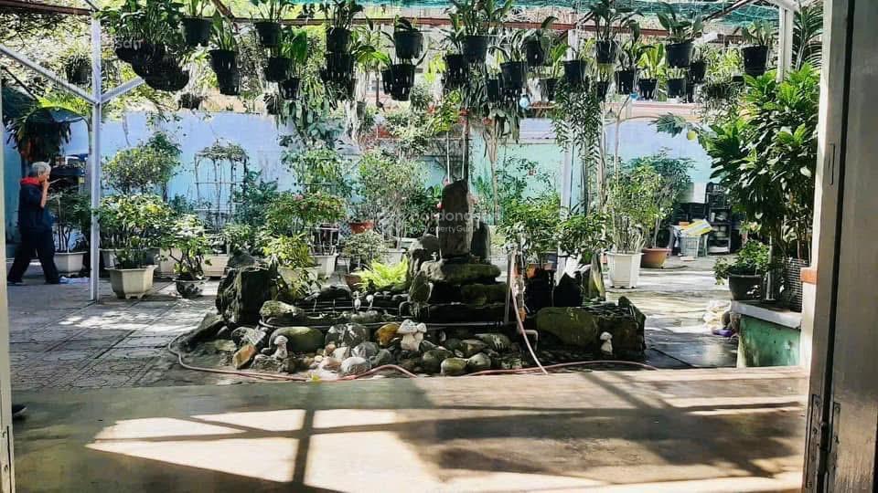 Đất gia đình xưa giờ nay kẹt để giá tốt cho người mua mặt tiền đường 2/4 gần dốc đại học nha trang
