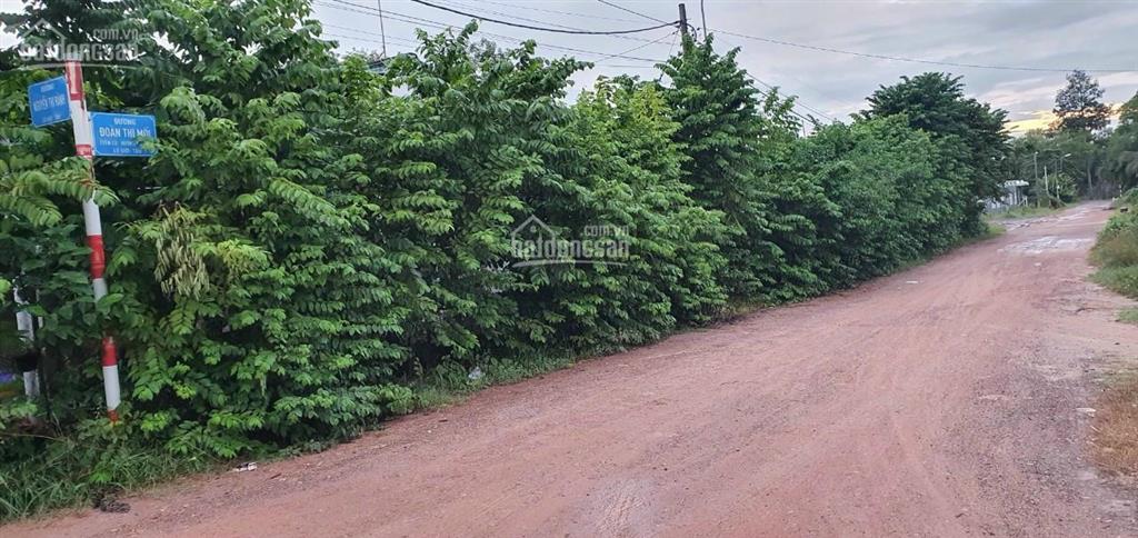 Đất cần bán gấp thuộc xã nhuận đức, huyện củ chi, dt 14.5 x 31m, giá bán 900tr