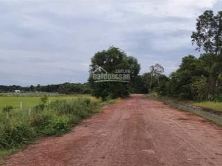 Đất cần bán gấp thuộc xã nhuận đức, huyện củ chi, dt 14.5 x 31m, giá bán 1tỷ