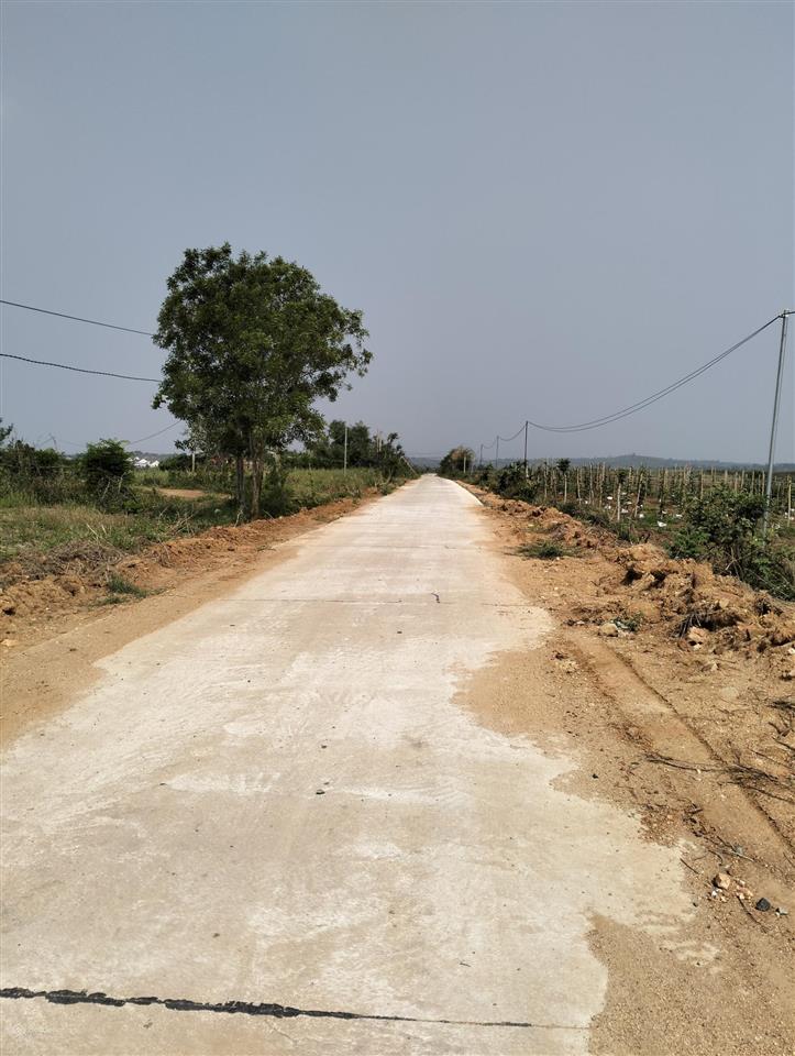 Cần bán nhanh lô đất qh full hồng đường bê tông lớn qh 33m