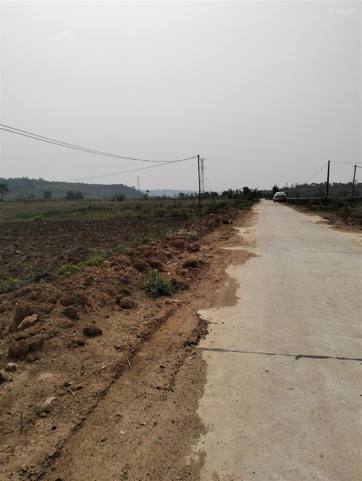 Cần bán nhanh lô đất qh full hồng đường bê tông lớn qh 33m