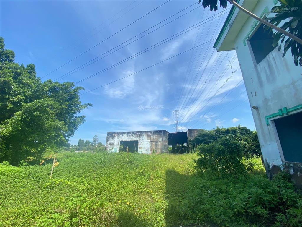 Cho thuê kho và đất 5700m2 mt võ văn bích huyện củ chi