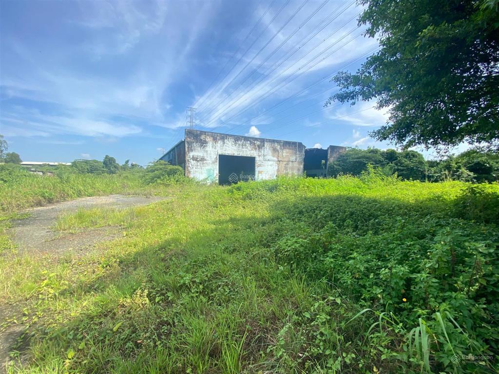 Cho thuê kho và đất 5700m2 mt võ văn bích huyện củ chi