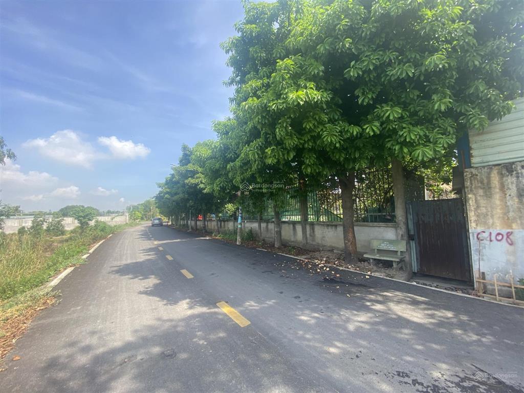 Bán gấp 3600m2 đất đường nhựa tải 10t bùi công trừng đã làm nền, tường vây, đường nhựa 32 tỷ(tl)