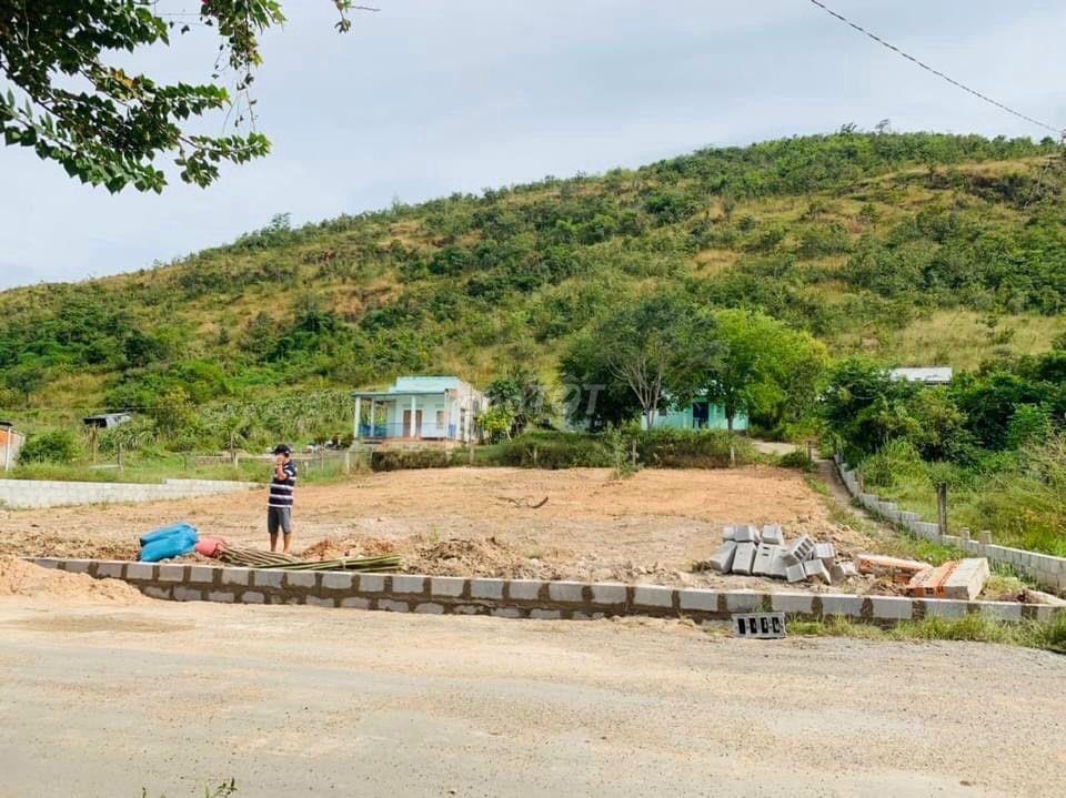  BÁN ĐẤT THỔ CƯ + VƯỜN HÀM ĐỨC - BÌNH THUẬN (CÓ SỔ CẤP TỔNG 947,9 M²) 