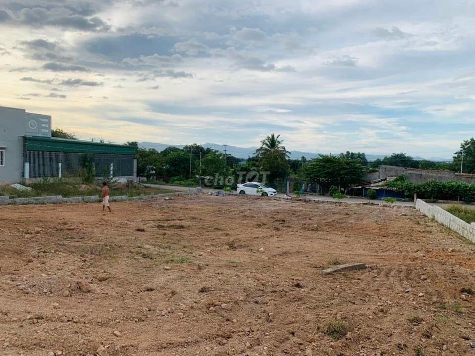  BÁN ĐẤT THỔ CƯ + VƯỜN HÀM ĐỨC - BÌNH THUẬN (CÓ SỔ CẤP TỔNG 947,9 M²) 