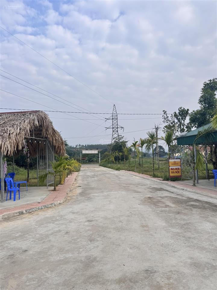 Em chính chủ cần bán gấp vài lô đất ở tu vũ, thanh thuỷ cách đường hcm chỉ 50m giá cắt lỗ