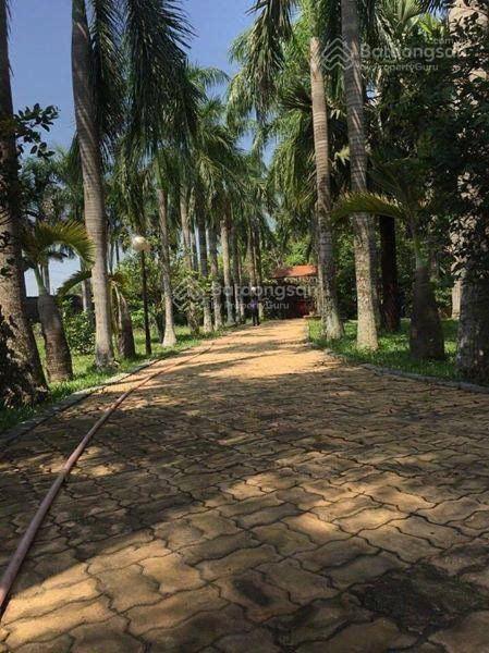 Bán biệt thự nghỉ dưỡng 4000m2 nhuận đức củ chi 18tỷ 500