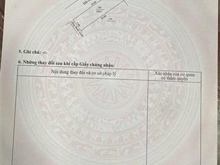 Tôi chính chủ bán vẹt cây xanh hoà xuân