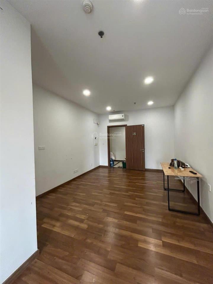 Cho thuê căn hộ pegasuite 1 dạng officetel tạ quang bửu, q8.