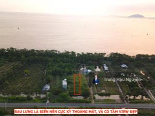 Giảm kịch sàn 610m2 đất vườn đê quốc phòng gần chùa tân phước, lộ 8m, 8x72x9m, quy hoạch đất ở, shr