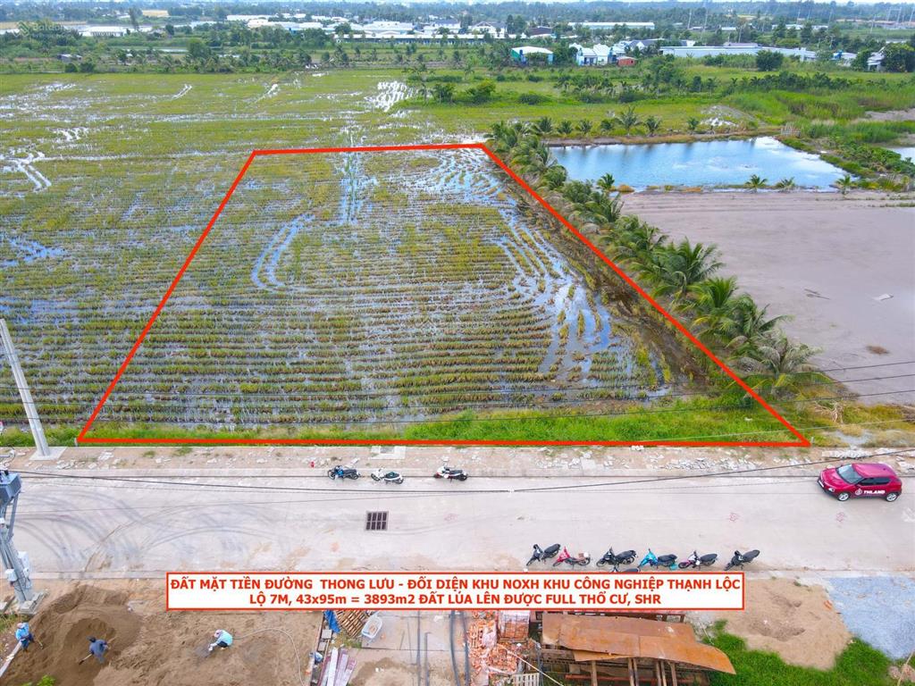 Đất mặt tiền đ. thong lưu  đối diện noxh khu công nghiệp thạnh lộc. lộ 7m, 43x95m quy hoạch thổ cư