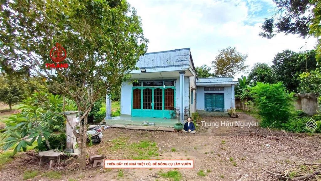 Đất vườn cây ăn trái  gần ngã 3 gò chùa và khu công nghiệp hiệp thạnh. lộ ô tô 3.5m, 127m mặt tiền