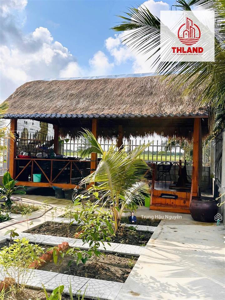 Nhà vườn mái thái mặt tiền kênh tà ben thạnh lộc, lộ ô tô, 13x56m, 3 ngủ 2 toilet full nội thất shr
