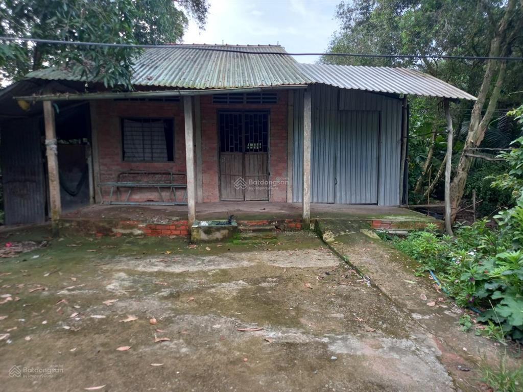 Bán gấp 10.500m2 thổ vườn, kênh tràm mù, thạnh mỹ, tân phước tiền giang
