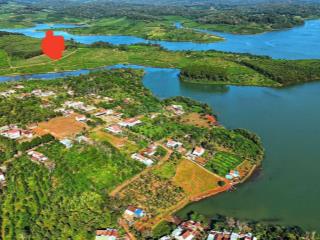 Bán vườn cafe xen sầu riêng đang cho thu view hồ giáp rừng thông, siêu đẹp trung tâm xã sơn lang