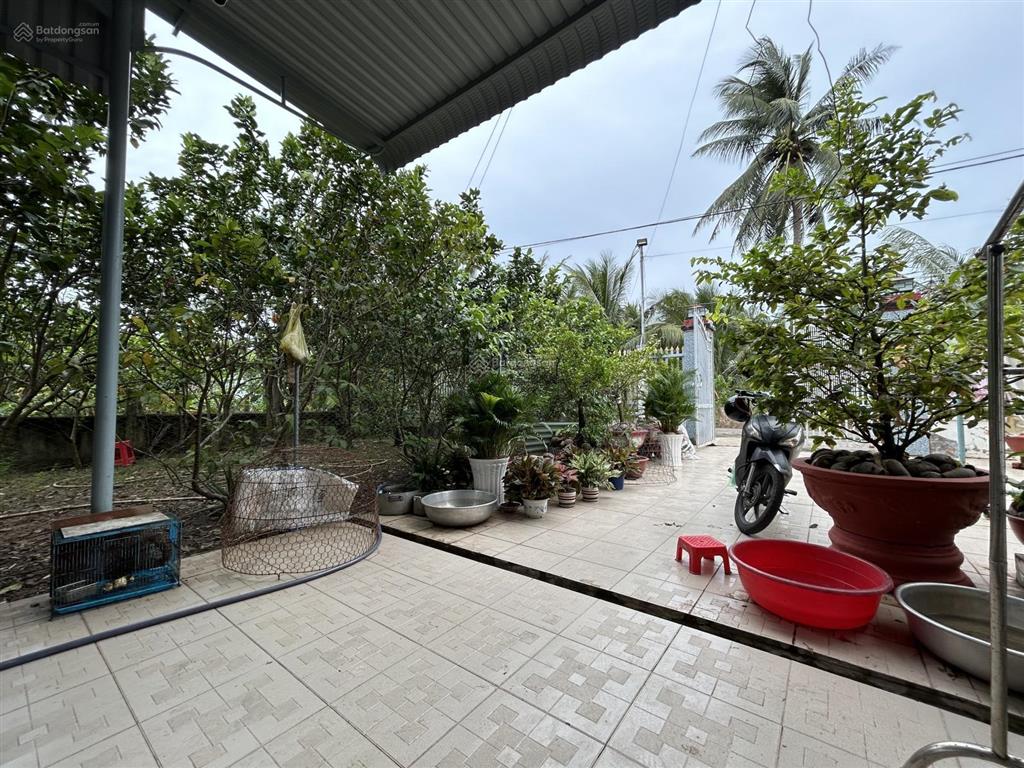 Hàng hiếm tại thị trấn vĩnh bình, 4,2 tỷ, 998m2, nr chính chủ, sát sông mát mẻ