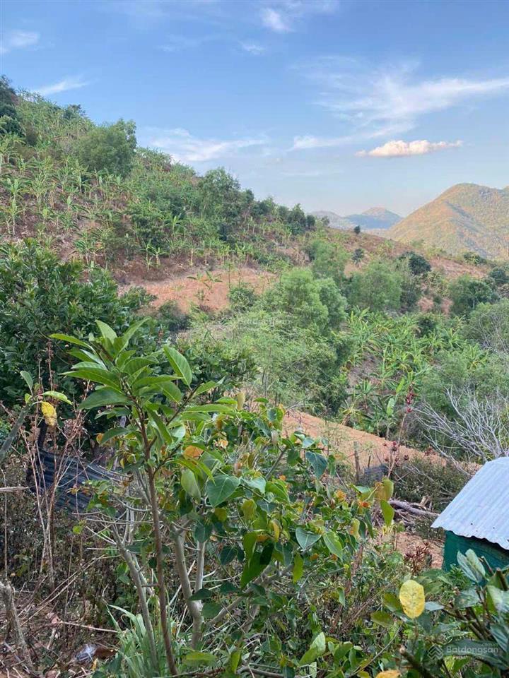 Cần bán đất tây bắc, phường vĩnh hải, nha trang khánh hòa dt 37,378m2,  0936 883 *** ms. hằng