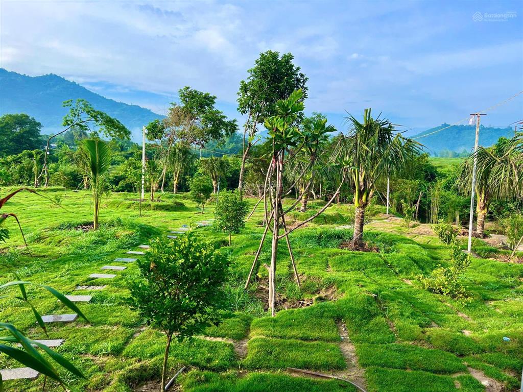 Sang nhượng farmstay khánh hòa 10.200m2 gần nha trang đất nghỉ dưỡng suối bao quanh siêu đẹp
