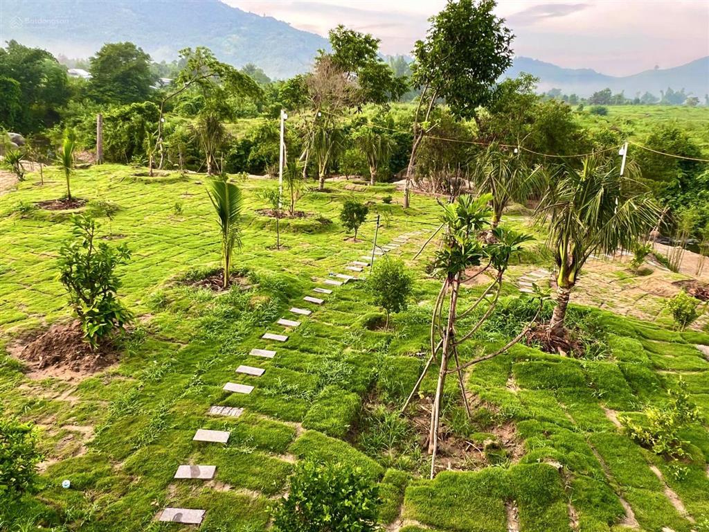 Sang nhượng farmstay khánh hòa 10.200m2 gần nha trang đất nghỉ dưỡng suối bao quanh siêu đẹp