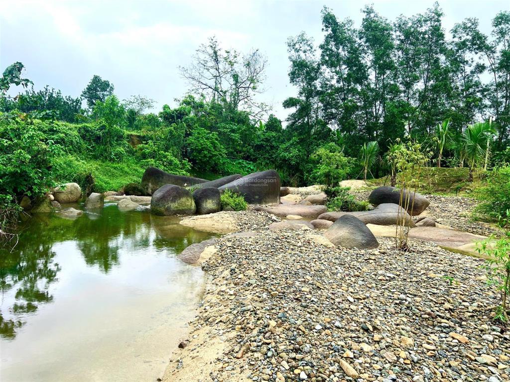 Sang nhượng farmstay khánh hòa 10.200m2 gần nha trang đất nghỉ dưỡng suối bao quanh siêu đẹp