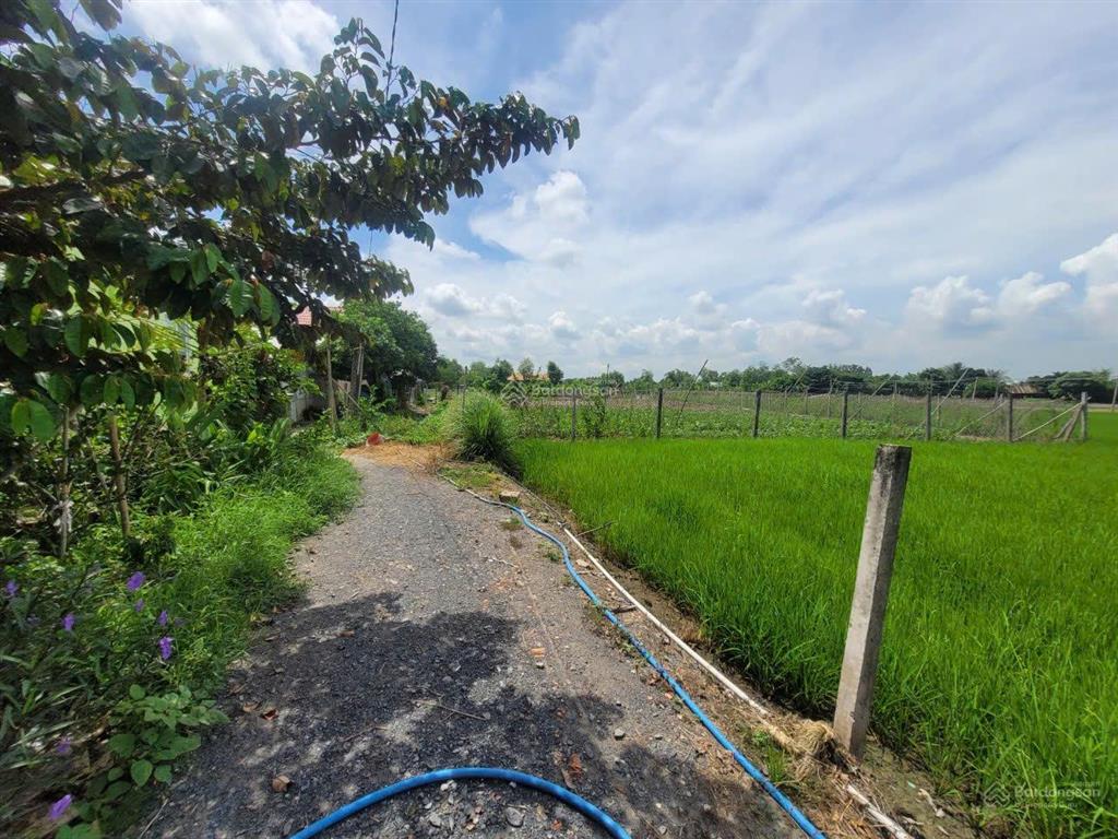 Bán đất cần giuộc long an dt 2369m giáp đường nhựa. giá 4,6 tỷ sổ hồng riêng