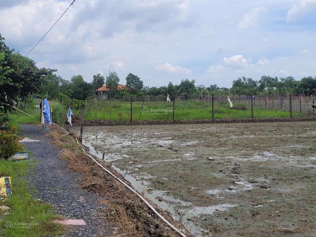 Bán đất cần giuộc long an dt 2369m giáp đường nhựa. giá 4,6 tỷ sổ hồng riêng