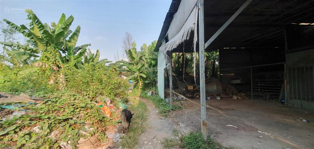 Chính chủ cho thuê xưởng + nhà lớn vừa ở và gia công sản xuất, xa khu dân cư riêng biệt thoải mái