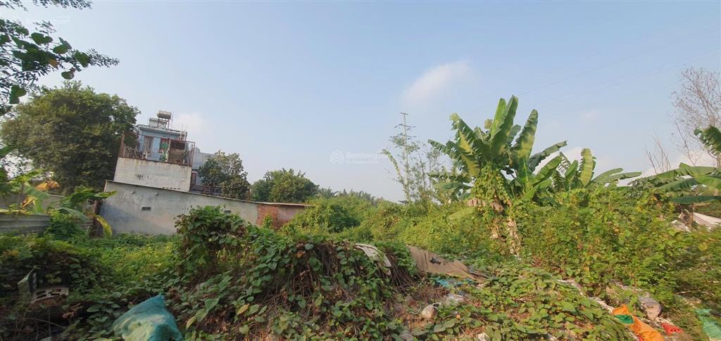 Chính chủ cho thuê xưởng + nhà lớn vừa ở và gia công sản xuất, xa khu dân cư riêng biệt thoải mái