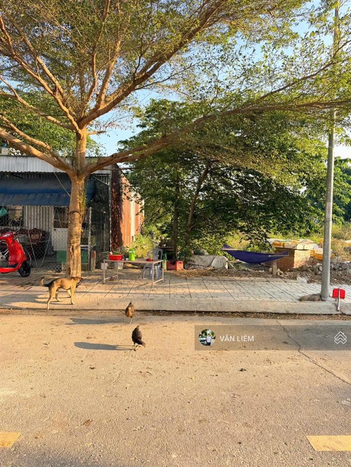 Bán lô đất tái định cư nam sông cái  tt diên khánh diện tích 100m2 (5x20)m. lô sạch