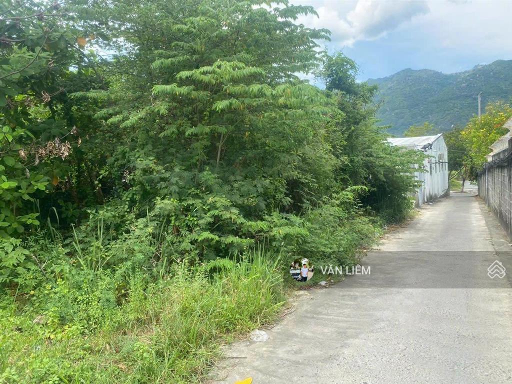 Đất gần đường thái khang giá chỉ 2,1 tỷ vị trí đẹp, cách đường thái khang chỉ vài bước